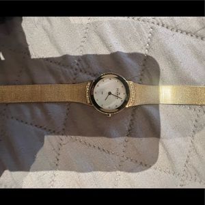 Skagen Watch